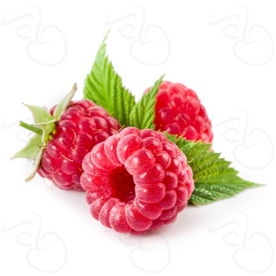 La Mosca Raspberry Raspberry by LA